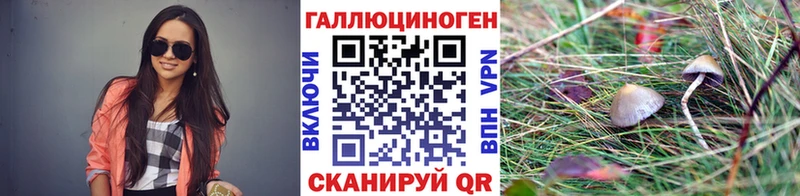 сколько стоит  Певек  Псилоцибиновые грибы Magic Shrooms 