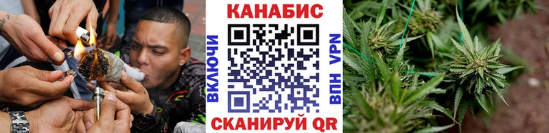 Шишки марихуана OG Kush  Певек 